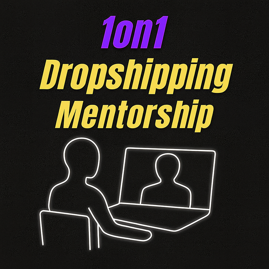 1 ON 1 Dropshipping Mentorship